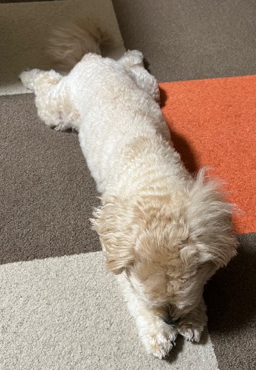 生き物ルーム第59