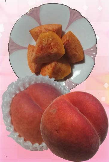 生き物ルーム第59