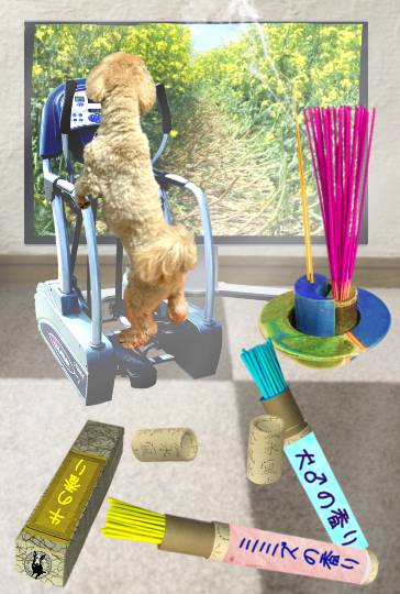 生き物ルーム第59