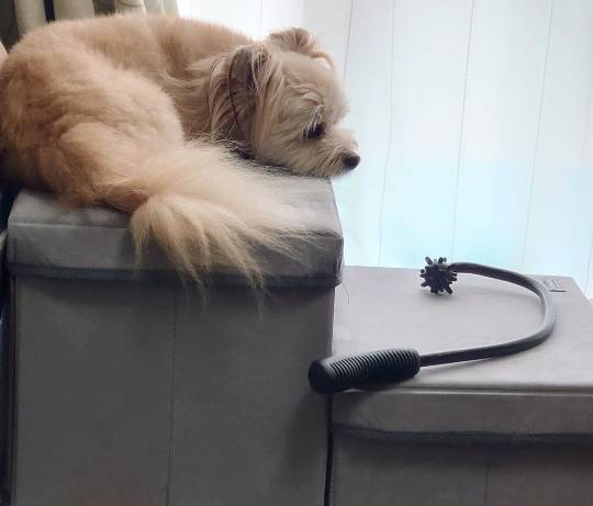 生き物ルーム第59