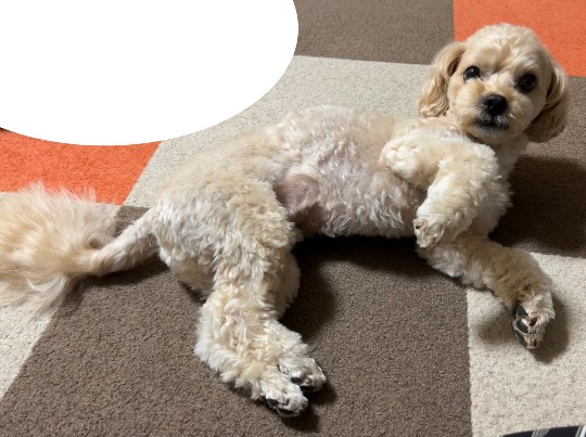 生き物ルーム第59