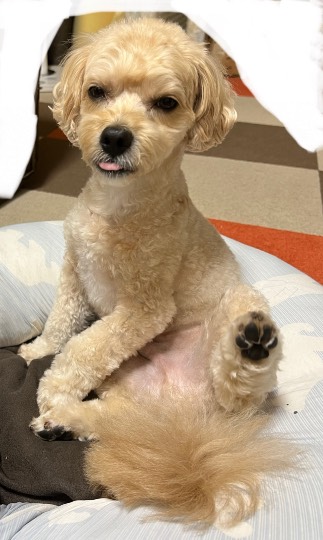 生き物ルーム第59