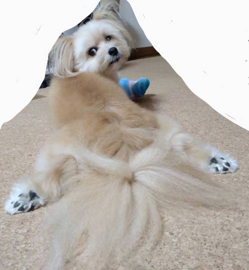 生き物ルーム第59