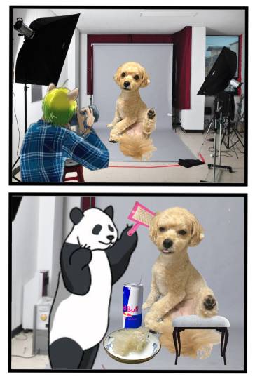 生き物ルーム第59