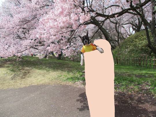 生き物ルーム第59