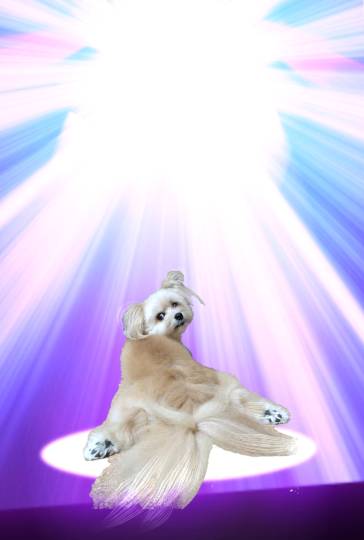 生き物ルーム第59