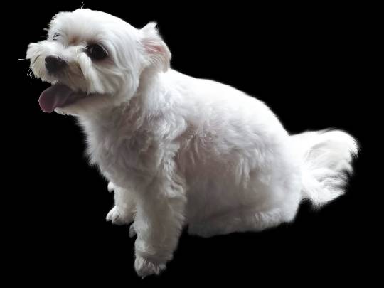 生き物ルーム第59