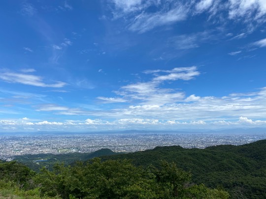 ★ドンキ♡♡ロピア 雑談66★