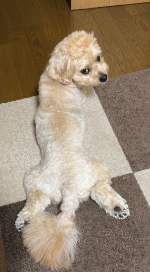 生き物ルーム第59