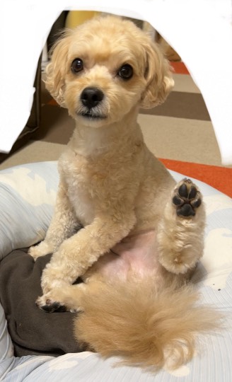 生き物ルーム第59