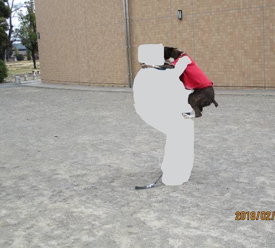 生き物ルーム第59