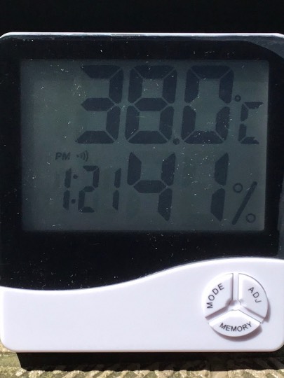 ★ドンキ♡♡ロピア 雑談66★