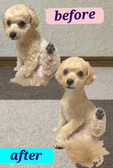 生き物ルーム第59