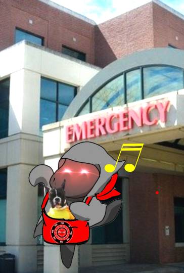 生き物ルーム第59