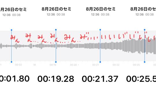 ★ドンキ♡♡ロピア 雑談68★