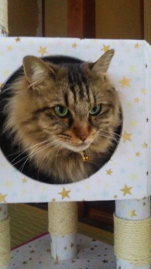 生き物ルーム第59