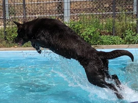 生き物ルーム第60