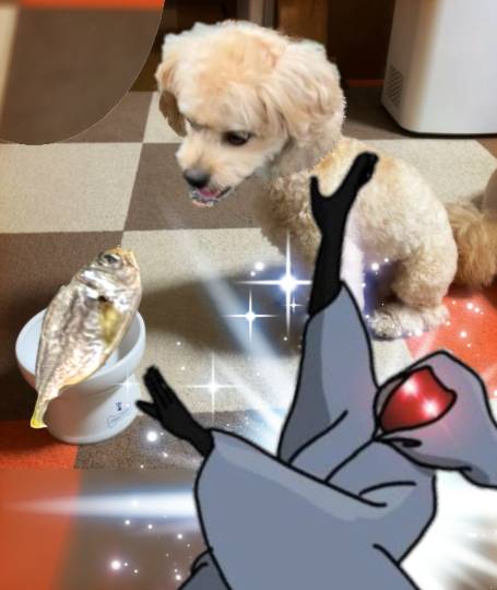 生き物ルーム第59