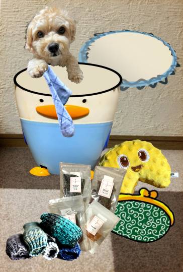 生き物ルーム第59