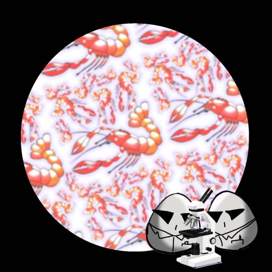 生き物ルーム第59