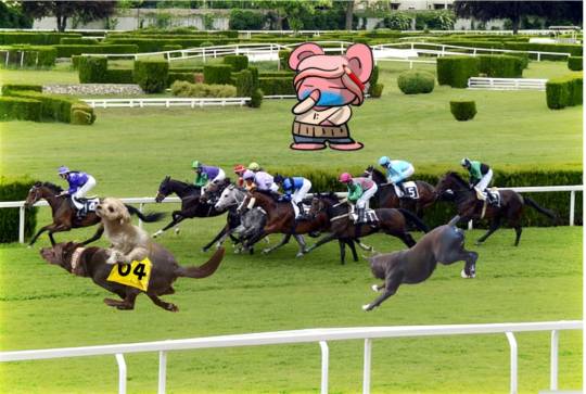 生き物ルーム第59