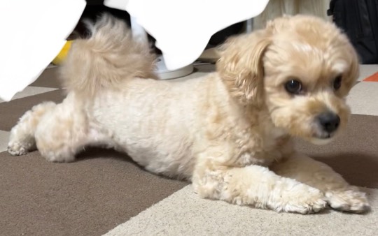 生き物ルーム第59