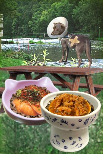 生き物ルーム第59