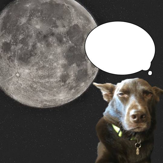 生き物ルーム第59