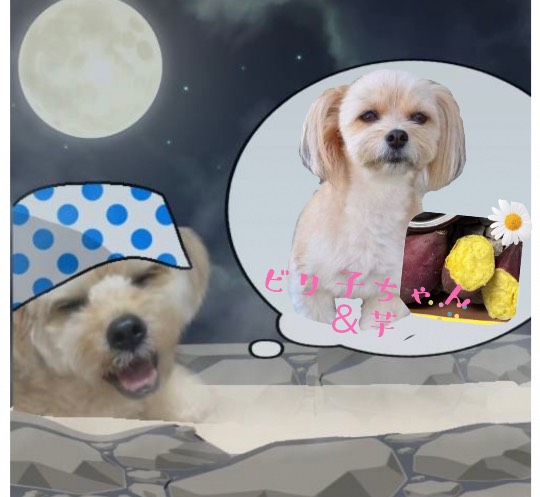 生き物ルーム第59