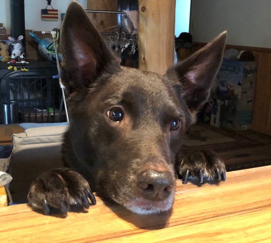 生き物ルーム第59