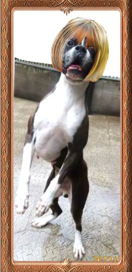 生き物ルーム第59