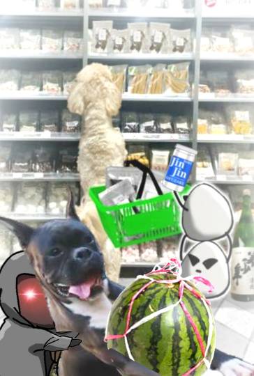 生き物ルーム第59