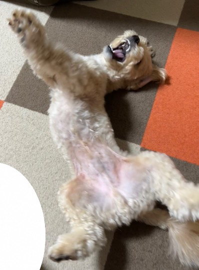 生き物ルーム第59