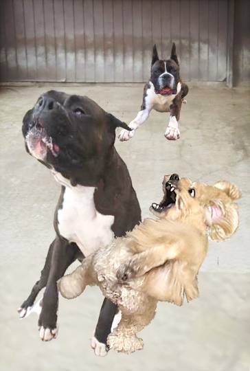 生き物ルーム第59