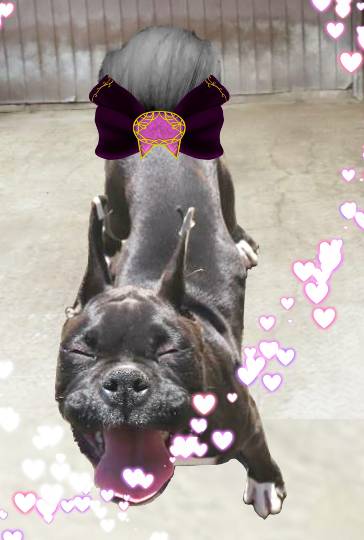 生き物ルーム第59