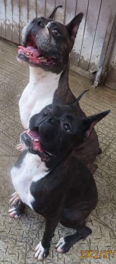 生き物ルーム第59