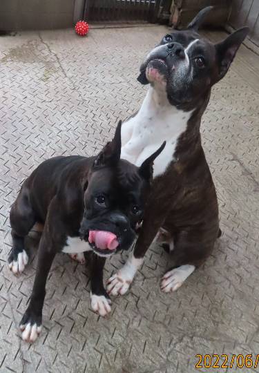 生き物ルーム第59