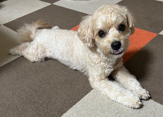 生き物ルーム第59