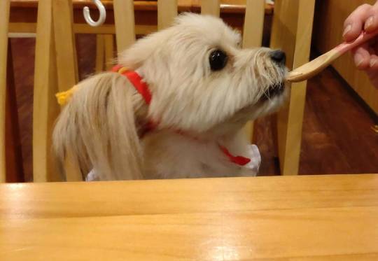 生き物ルーム第59