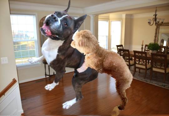 生き物ルーム第59