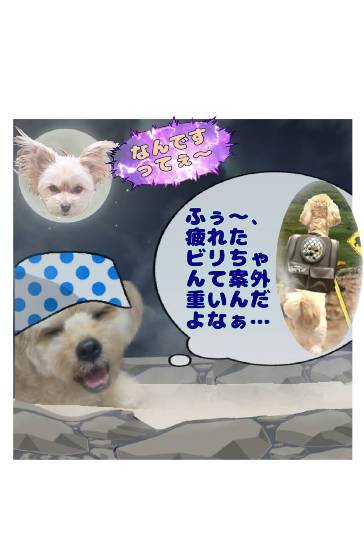 生き物ルーム第59