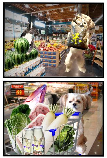 生き物ルーム第59