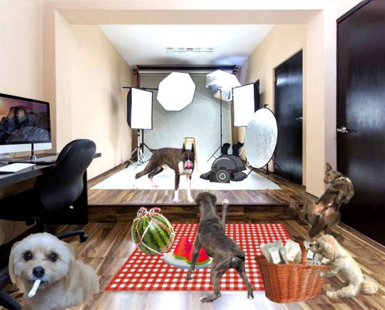 生き物ルーム第59