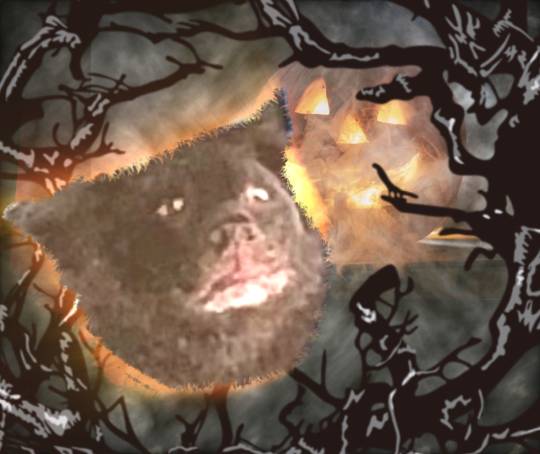 生き物ルーム第59