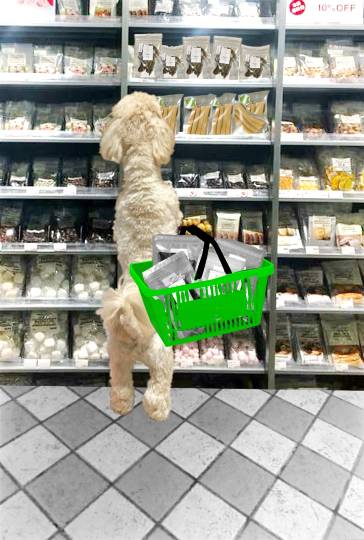 生き物ルーム第59