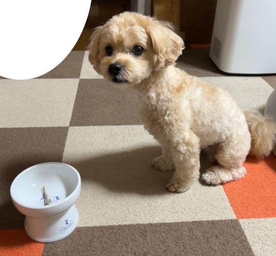 生き物ルーム第59