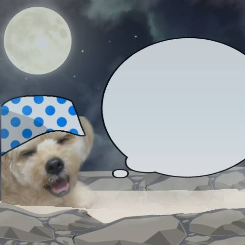 生き物ルーム第59