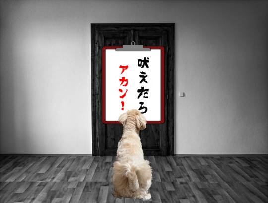 生き物ルーム第59