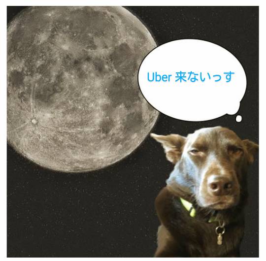 生き物ルーム第59