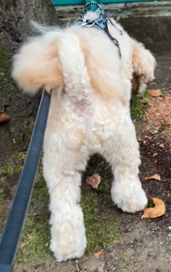 生き物ルーム第59